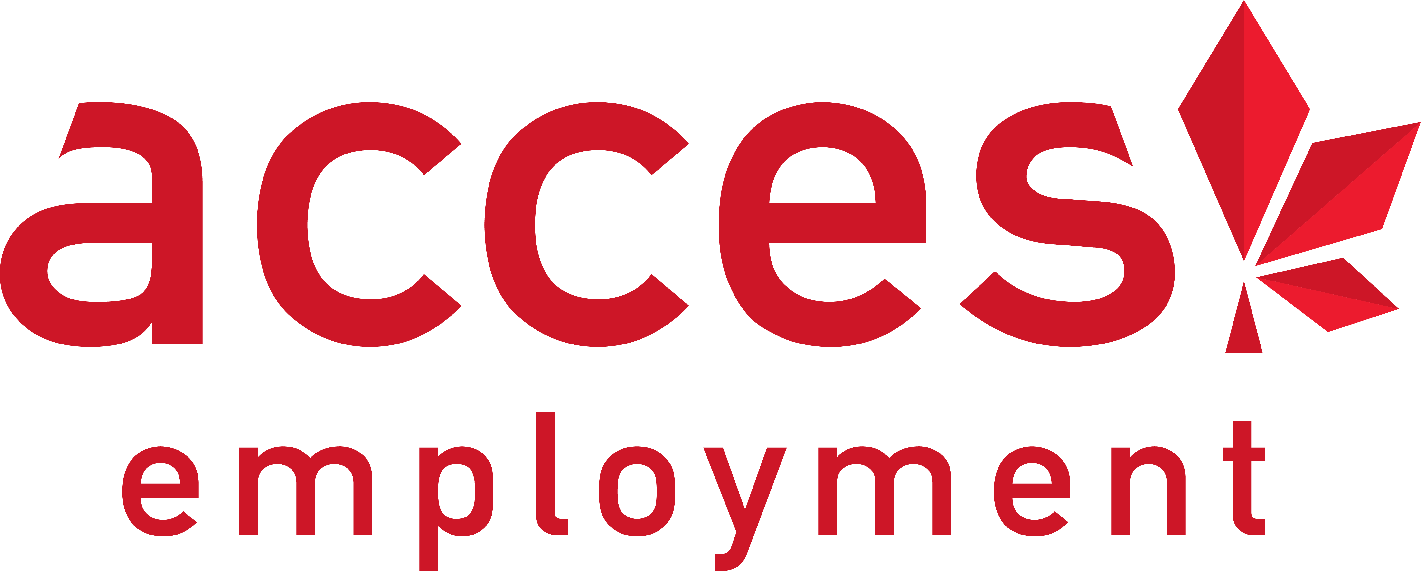 ACCESS logo