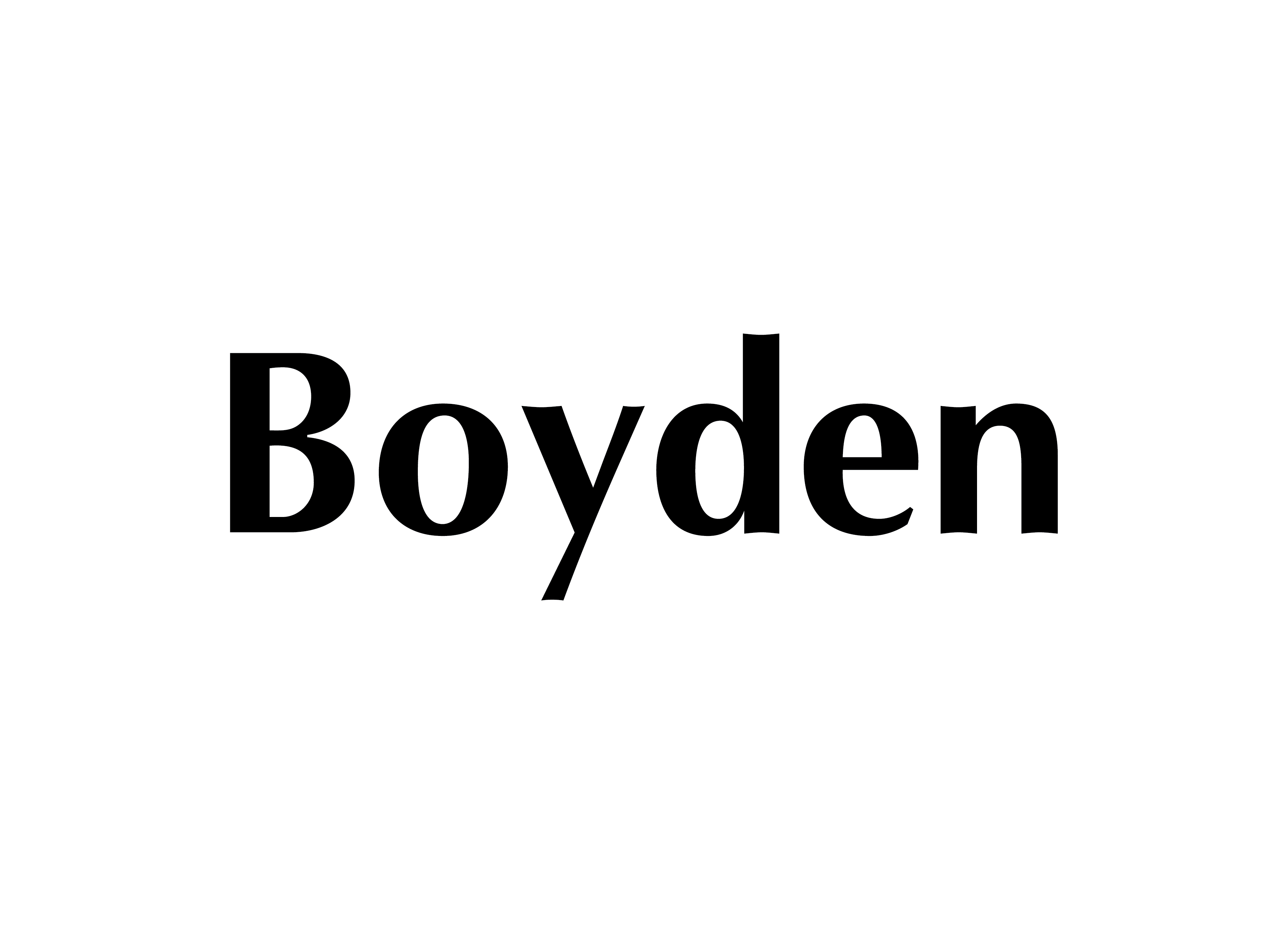 Partner Boyden