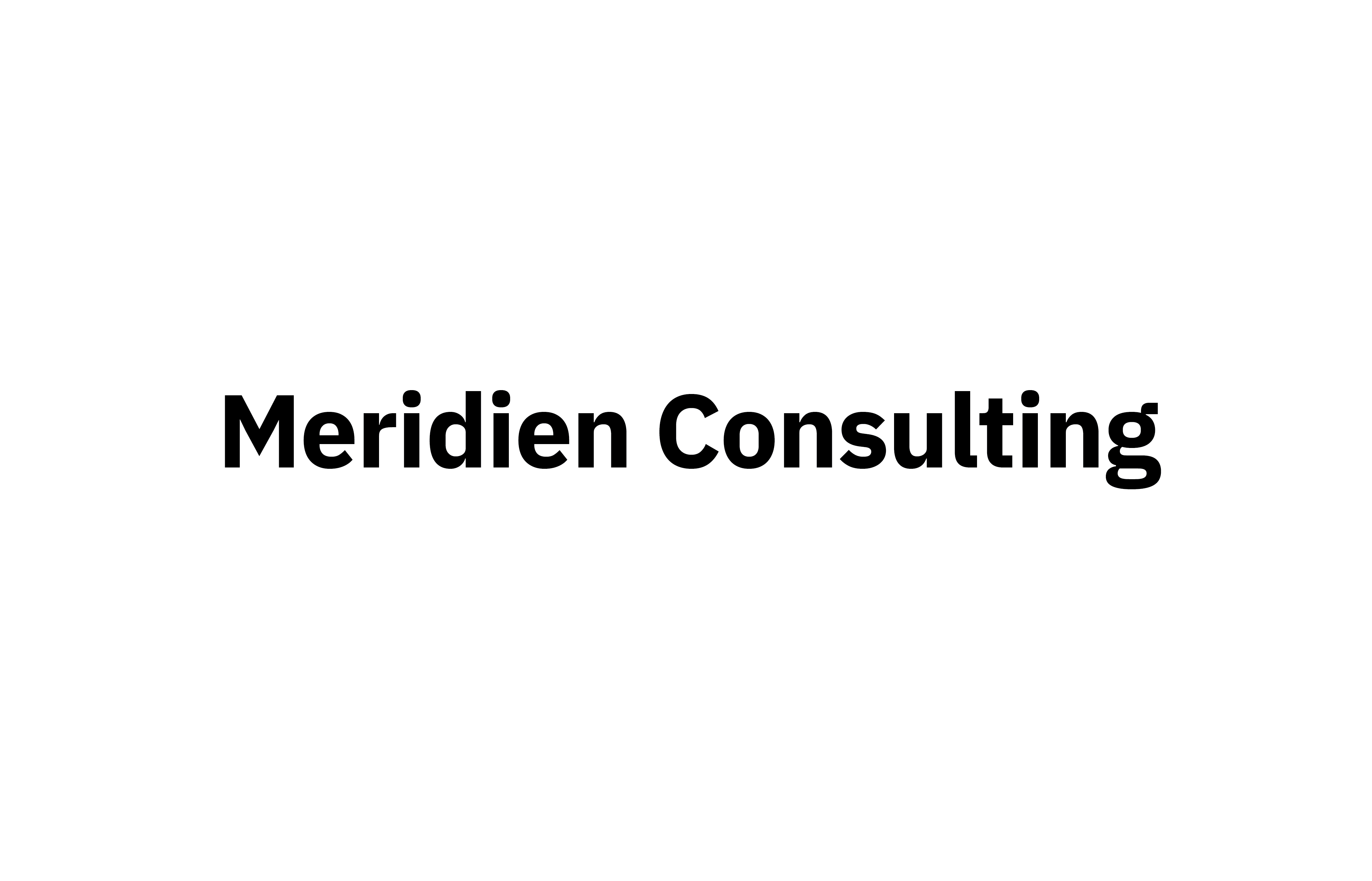 Partner Meridien Consulting