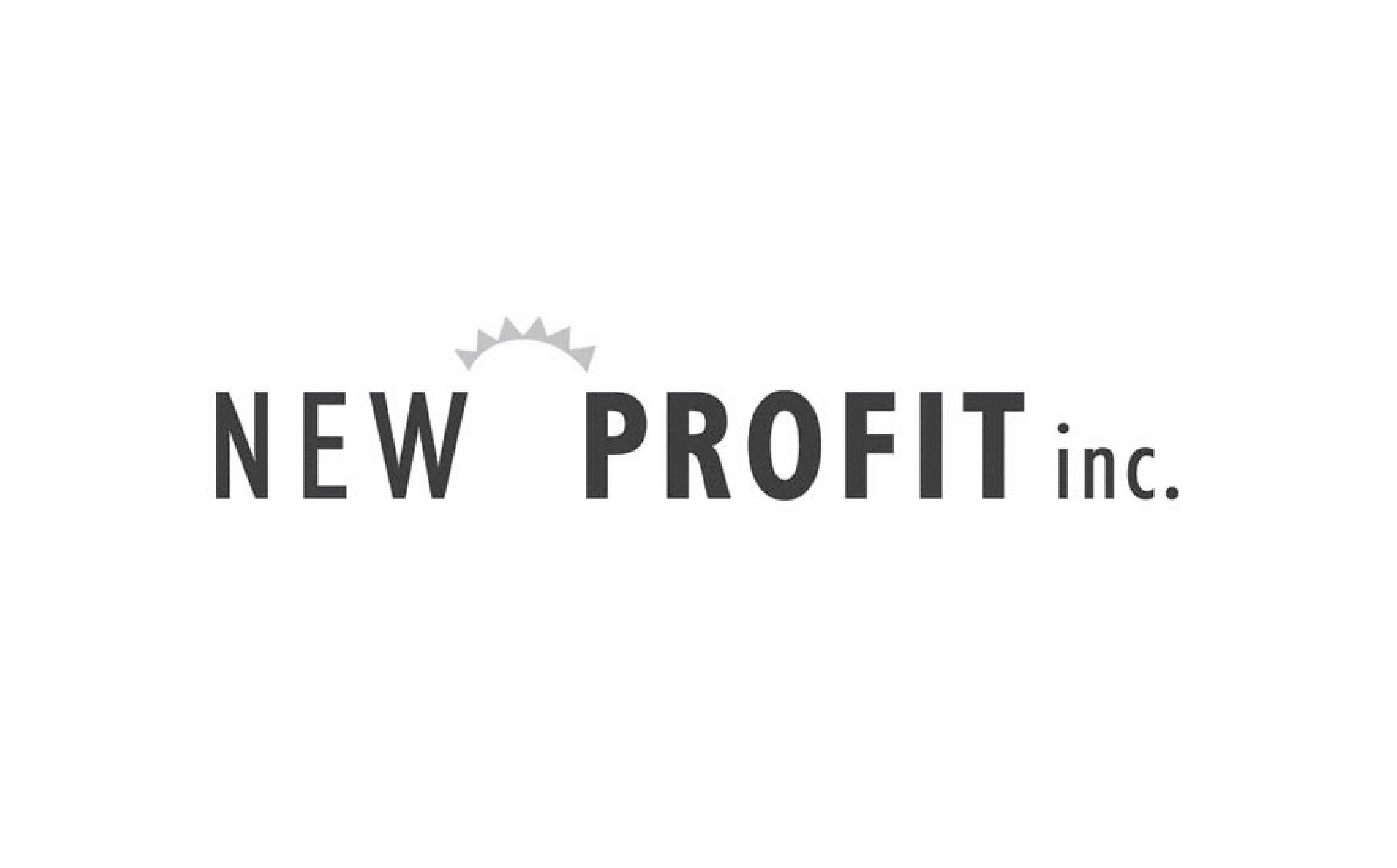 Partner New Profit Inc