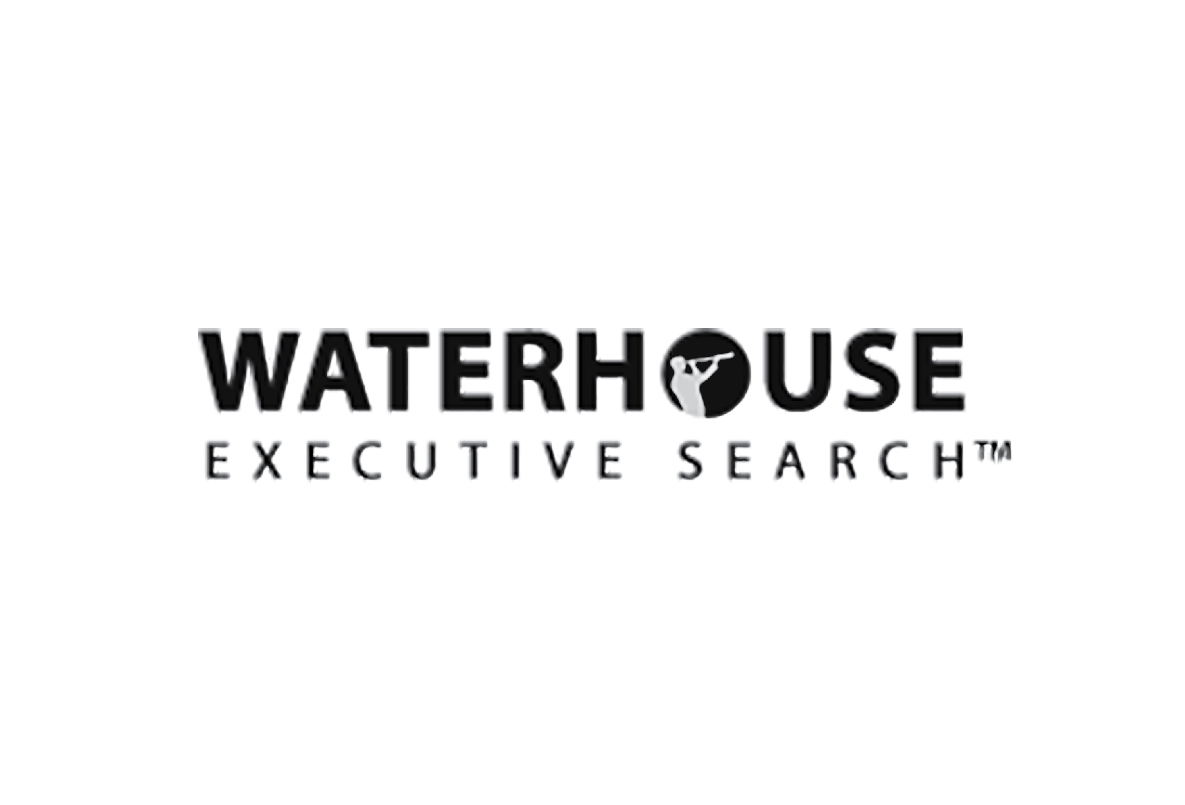 Partner Waterhouse Executive Search